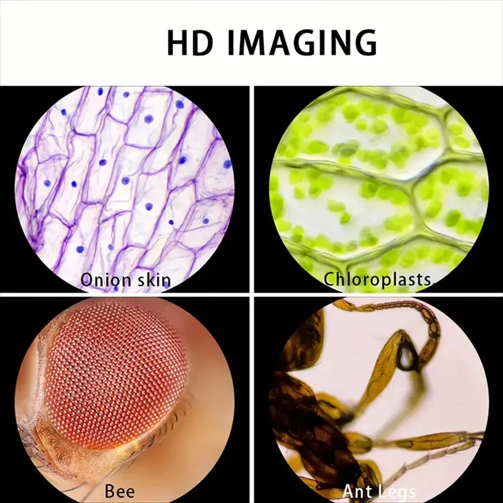 현미경 60-120X 실험실 휴대용 현미경 배터리 구동 - Microscope Kids Science 리뷰 및 가격