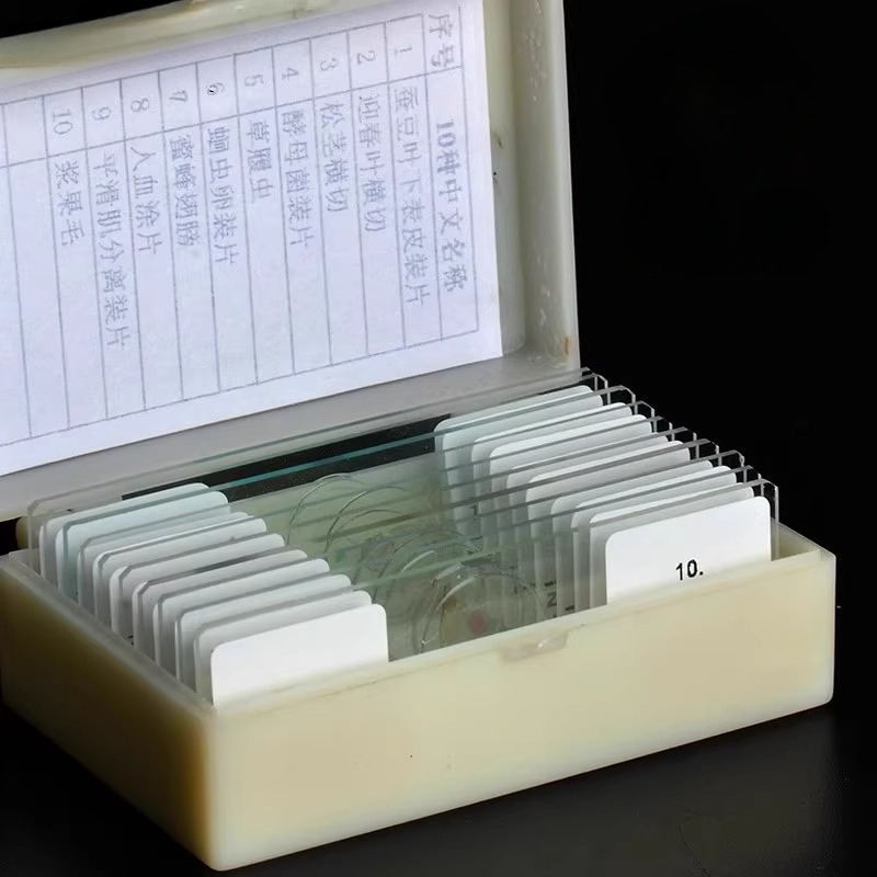 충격 방지 상자가 포함된 준비된 유리 현미경 슬라이드  - Microscope Kids Science 리뷰 및 가격