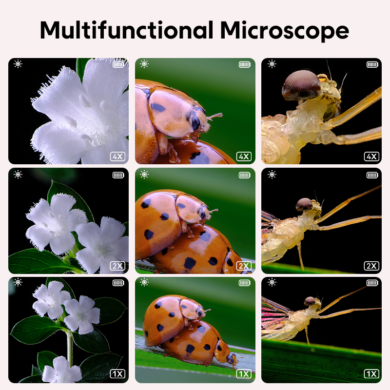 사진 및 비디오 기능이있는 미니 어린이 광학 현미경 5 - Microscope Kids Science 리뷰 및 가격